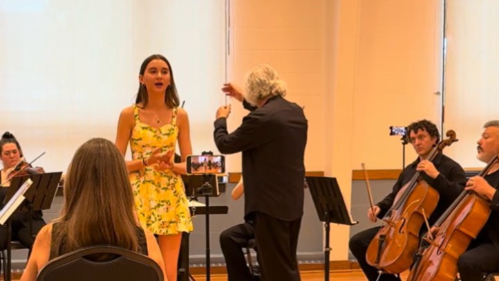 Lincolnwood Chamber Orchestra concert